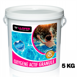 CHLORE RAPIDE GRANULE 1KG