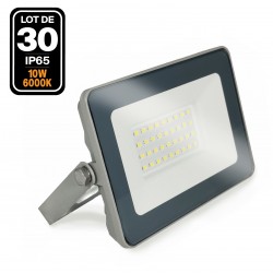30 Projecteurs LED 10W ProLine 6500K Haute Luminosité