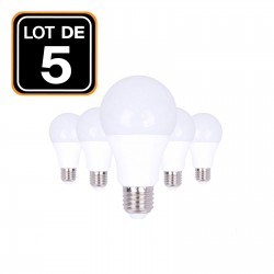 Lot 5 Ampoules LED E27 20W 4500K Blanc Neutre Haute Luminosité