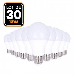 30 Ampoules LED E27 12W Blanc Froid 6000K Haute Luminosité