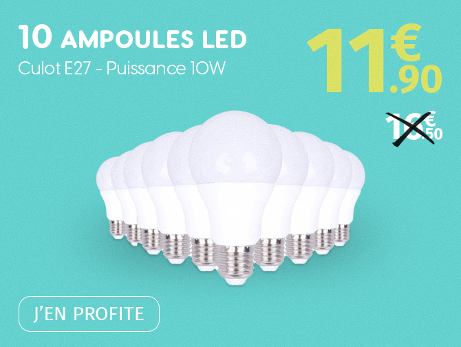 10 Ampoules LED 10W